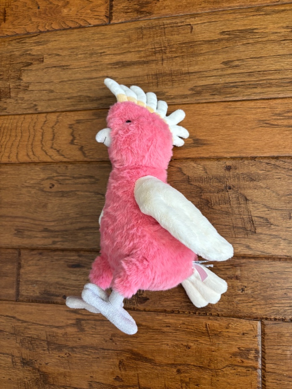 Jellycat Squawkatoo - Picture 5 of 11